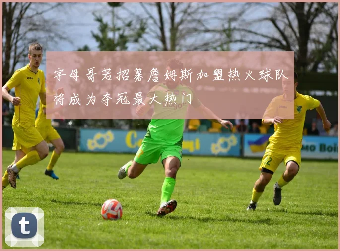 字母哥若招募詹姆斯加盟热火球队将成为夺冠最大热门